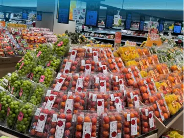 集中上架！深圳生活物资供应充足