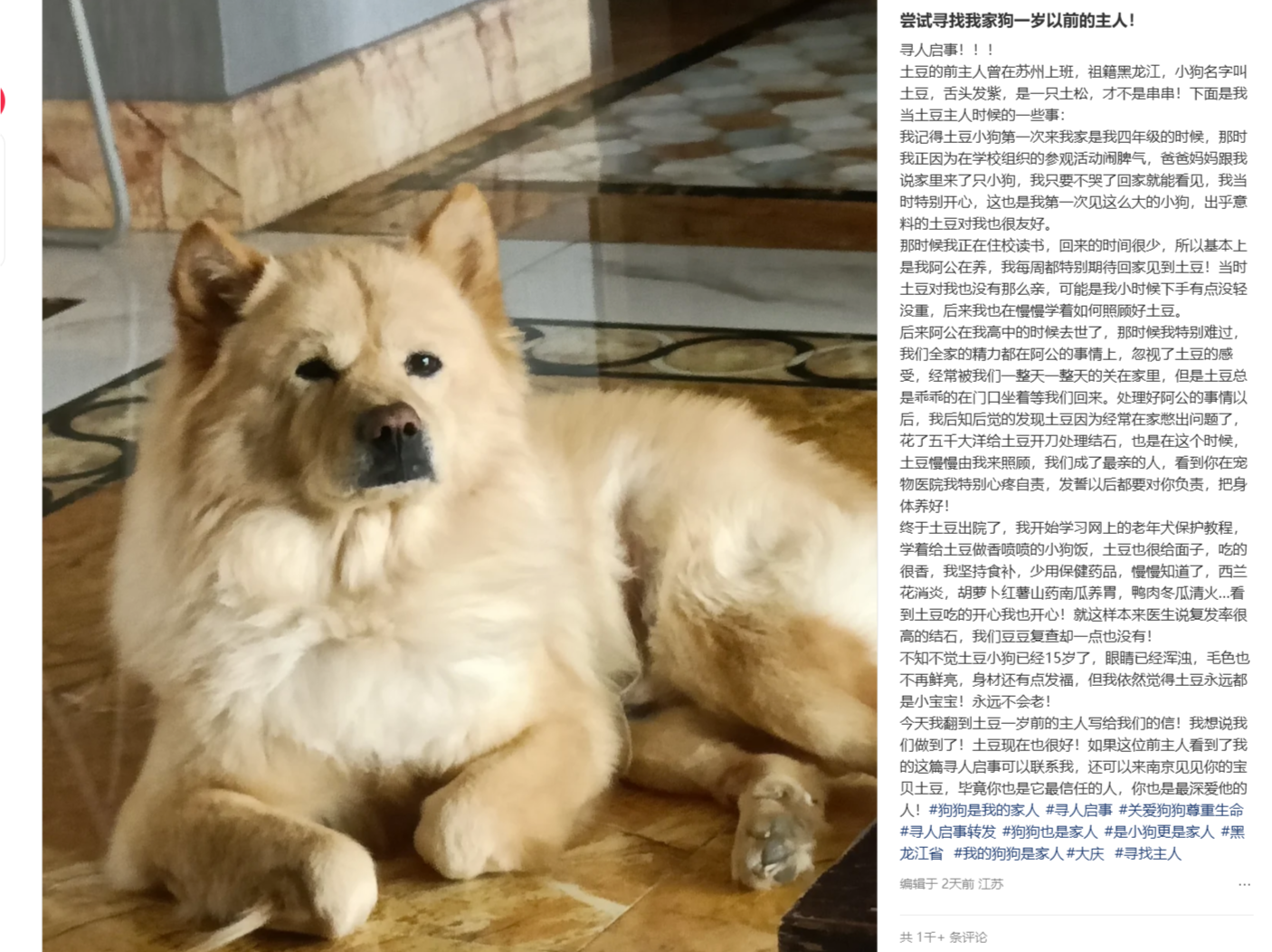 宠域talk | “别轻视它！”一封14年前的狗狗托养信，让网友泪目