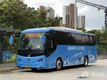 深中跨市公交已于今天中午起停运