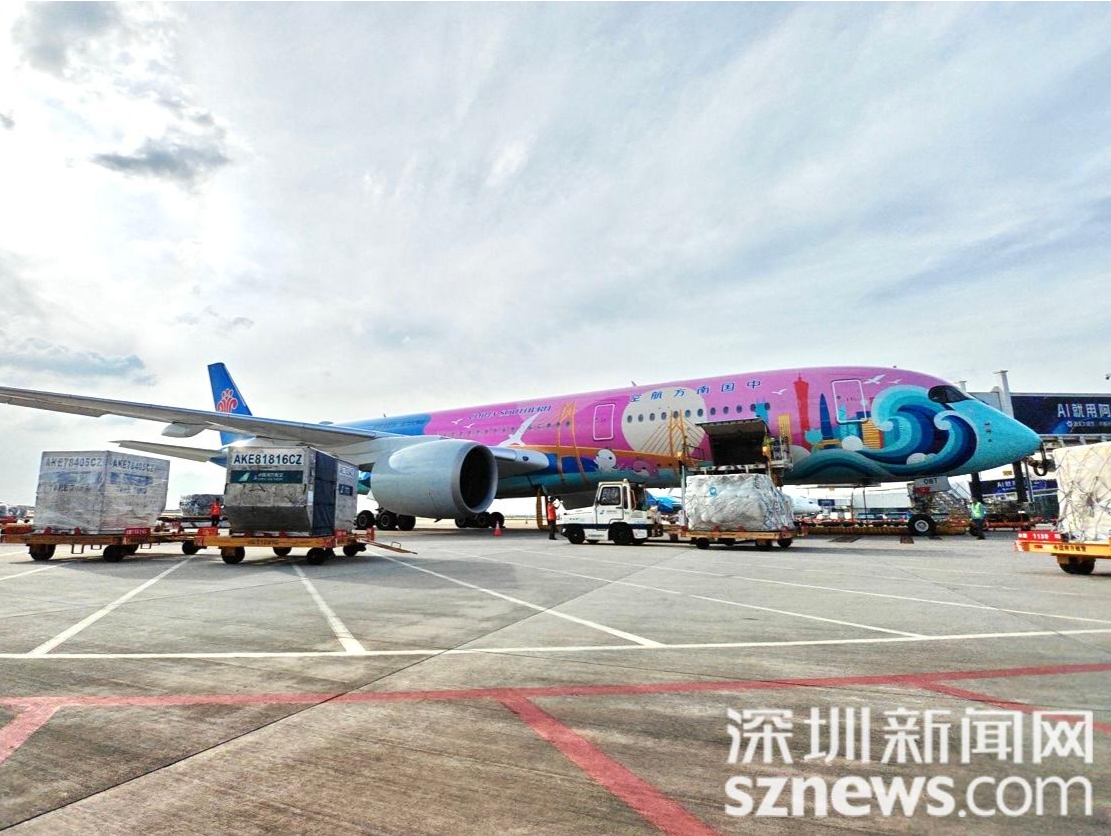 南方航空十五运会主题飞机“活力湾区号”亮相深圳！