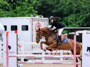 十五运会马术测试赛在光明举行