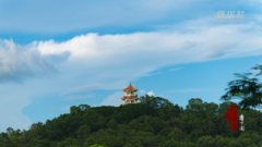 千城百县看中国｜广东东莞：满城青绿入画屏