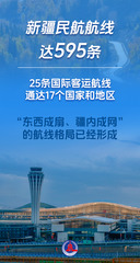 （图表·海报）新疆维吾尔自治区成立70周年丨天山焕新颜 丝路著华章（4）