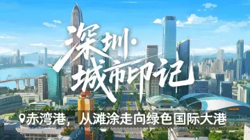 深圳城市印记 | 赤湾港，从滩涂走向绿色国际大港