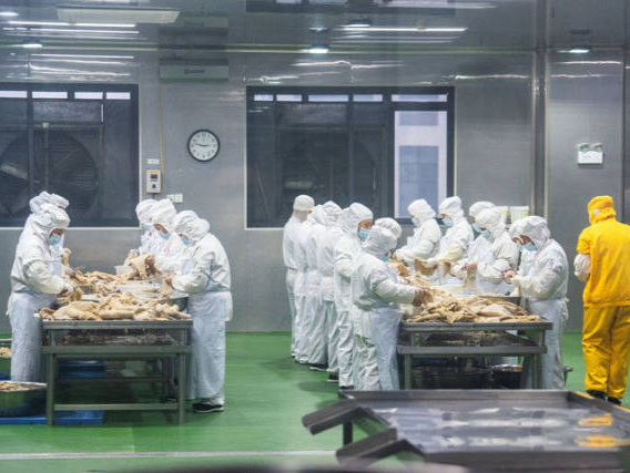 关于预制菜，必须厘清的几个问题 