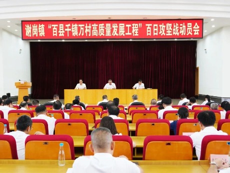 谢岗：以决战决胜的奋斗姿态，全力冲刺“百千万工程”百日攻坚战