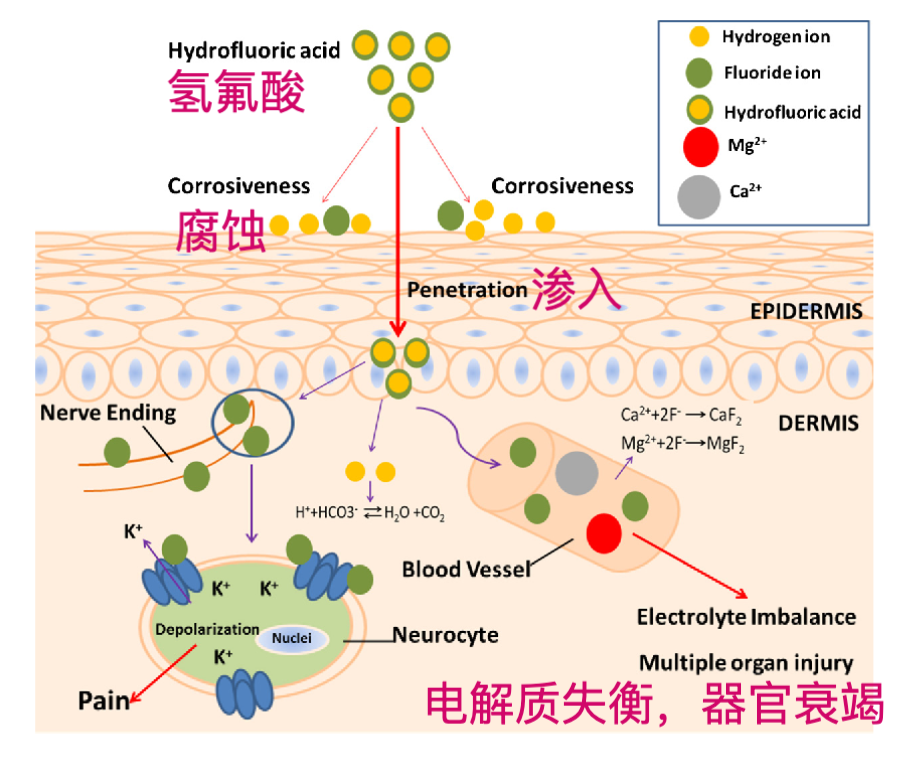 v2-0a1a6bcbeb410bdd1f6fe9fbb054e289_r.png