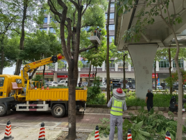 七项举措筑屏障，暖心服务护民生！园山街道全力迎战台风“桦加沙”