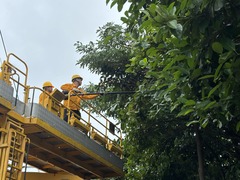 广西：防台风应急响应提升至三级 全力防御“桦加沙”