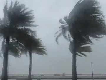 台风“桦加沙”已在广东阳江海陵岛沿海登陆