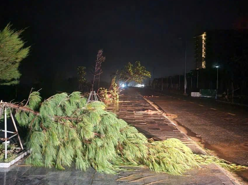 台风“博罗依”影响结束，广东结束防风Ⅳ级应急响应