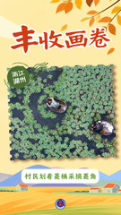 （图表·海报）丰收画卷（12）