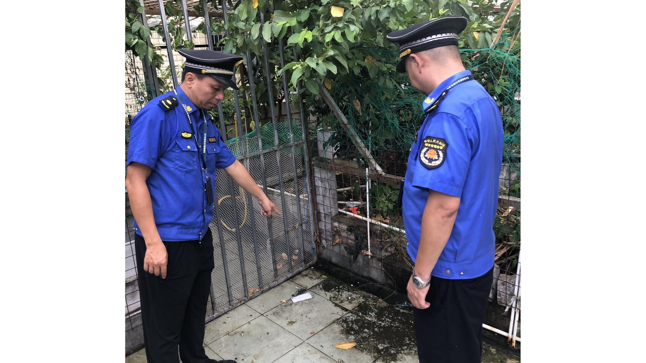 巡查复查不松劲!西乡街道严处辖区积水隐患超期未整改问题