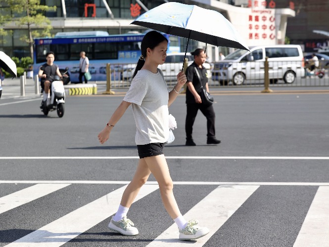 聊天丨换季式冷空气来了，下周东莞最低温将降至“1字头”！