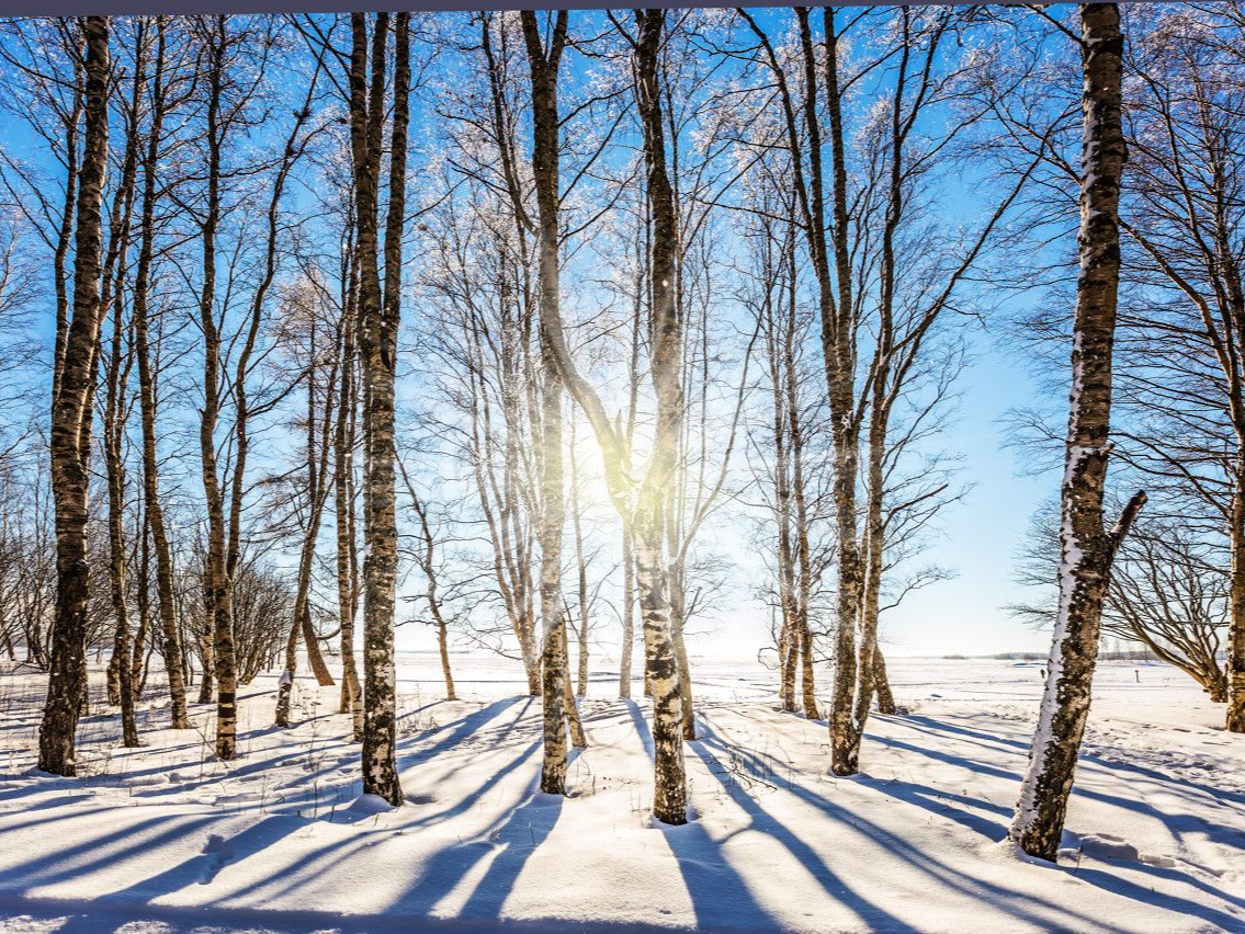 冷空气来袭！内蒙古黑龙江有明显降雪 东北华北降温显著
