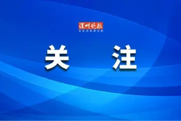 全运会历史上首次在真实海况竞技  大鹏完成马拉松游泳测试赛
