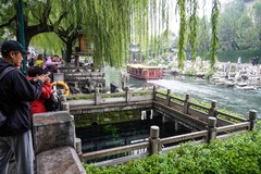 山东济南：群泉奔涌 （3）
