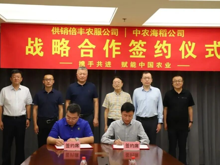 深企发力！从黑土地到盐碱地，生物育种技术为全国粮仓注入新动能