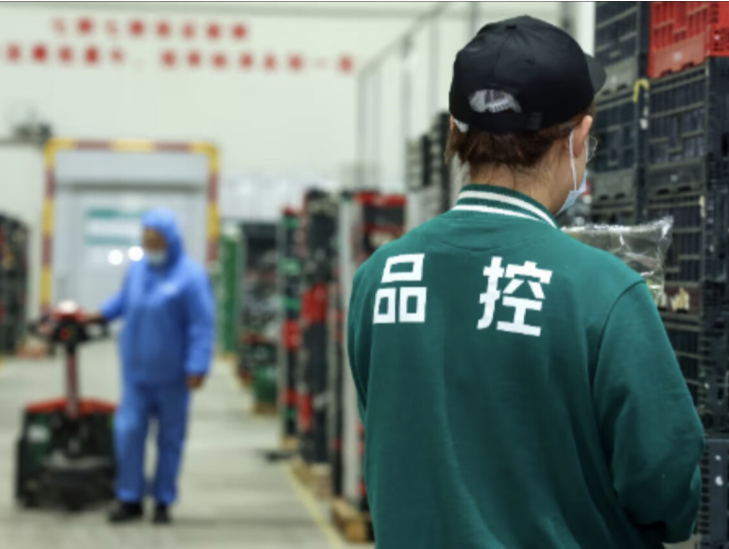 打通蔬菜生鲜全程溯源通道，京东七鲜“双11”行业首推“24小时菜”