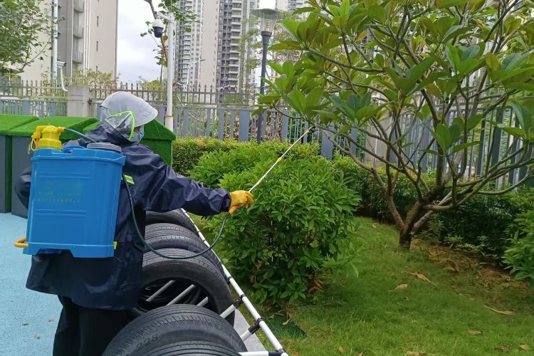 国庆中秋假期，翠亨新区（南朗街道）组织近7000人次防控“两热”