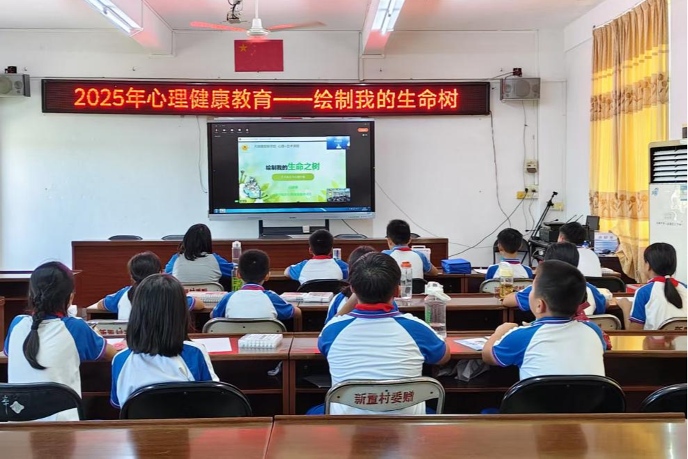 深圳驻大湖镇帮镇扶村工作队：精准帮扶暖童心  专业支撑助成长