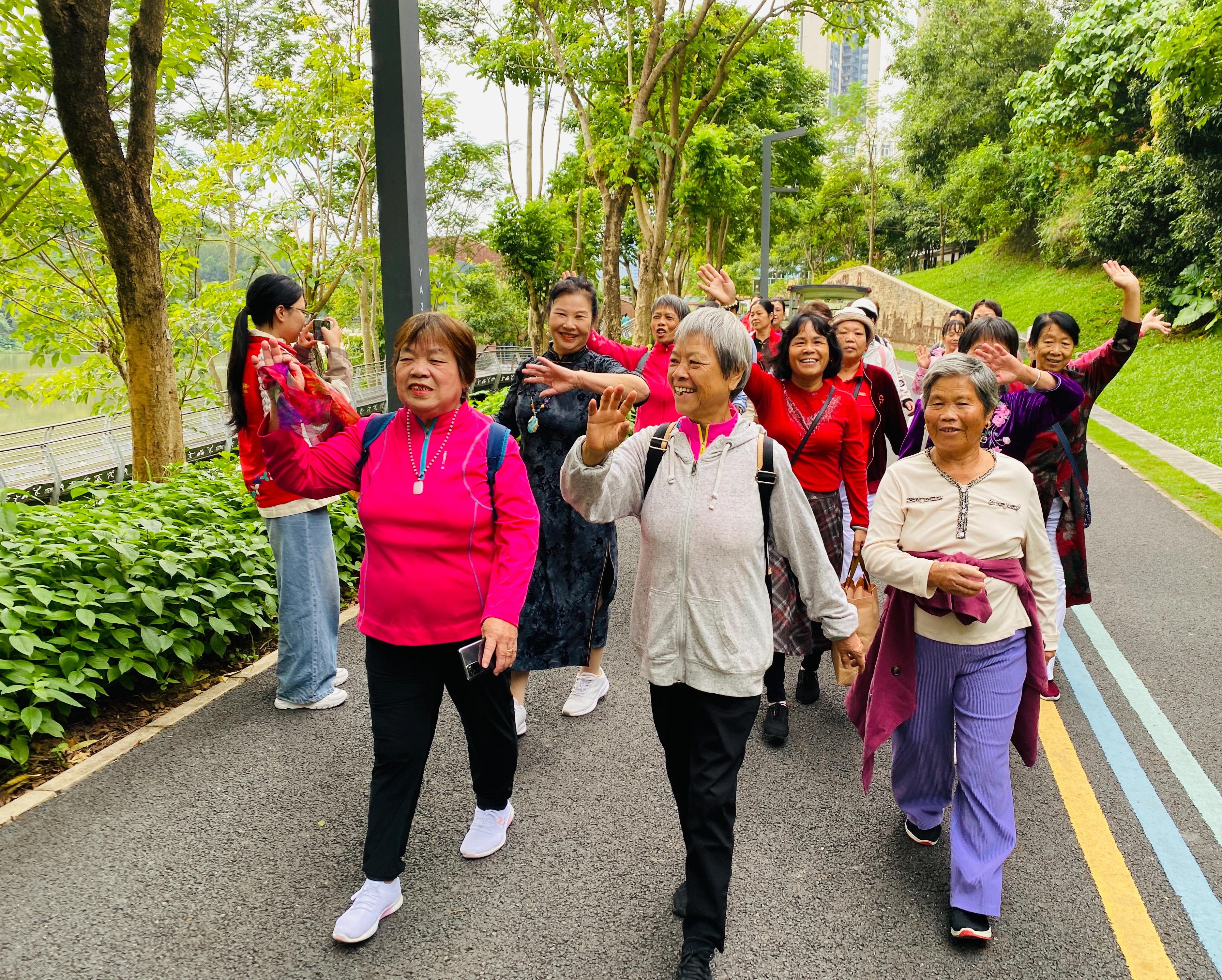 徒步登高去 坂田街道开展主题活动庆重阳