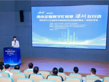 深圳市中小企业数字化转型城市试点供需对接会宝安区专场成功举办