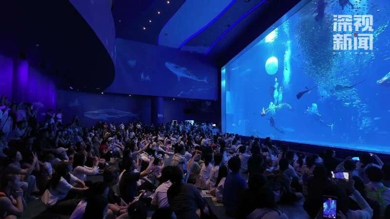 深圳“双节”假期有多火爆？数据说话