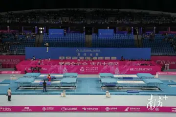 十五运会蹦床赛事落幕！严浪宇、胡译乘分获男女冠军