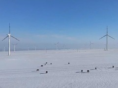 新疆年内绿电消纳首破200亿千瓦时