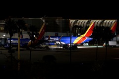 （外代一线）（7）美国联邦政府已“停摆”30天