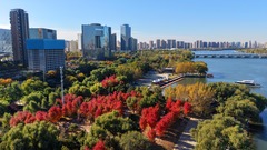 辽宁沈阳：秋意正浓 景色如画