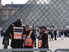 法国利用DNA样本追查“卢浮宫大劫案”