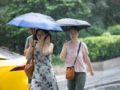 在广东海域作业渔船全部回港避风，省三防办最新通知→