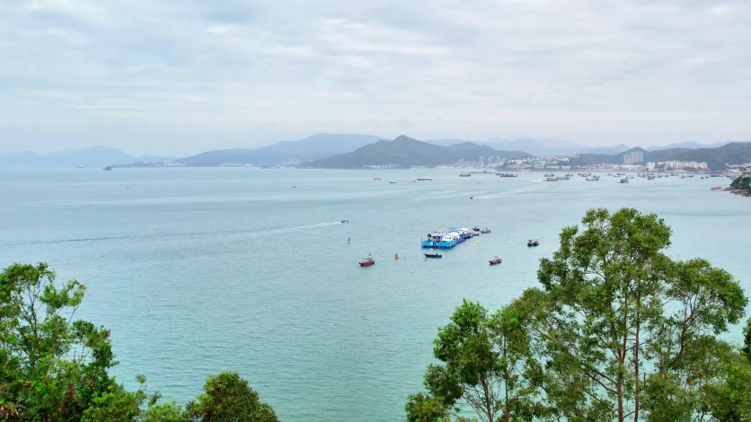 多领域科技实海“试剑”，2025海博会大鹏分会场精彩纷呈