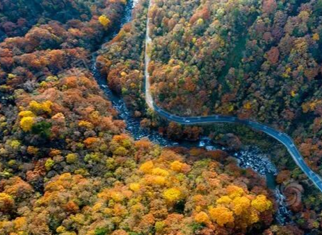 全国赏红叶地图出炉,十大观赏地带你体验不同秋色