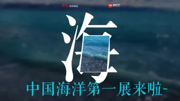 拥抱深蓝，“中国海洋第一展”来啦
