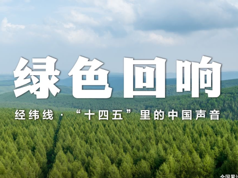 经纬线·绿色回响