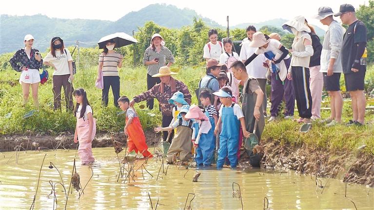 欢乐田园“大地丰收节”引领三万游客感受秋日农趣