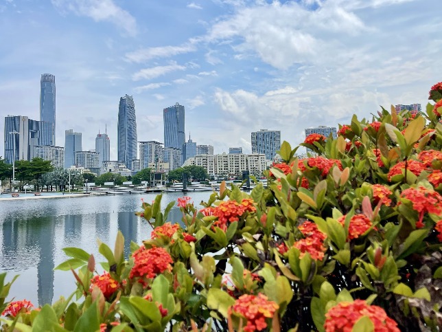 层高不应低于3.1米！东莞“好房子”标准正式印发