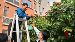 千城百县看中国｜河北石家庄：校园山楂喜获丰收 4800串糖葫芦串起“爱的教育”