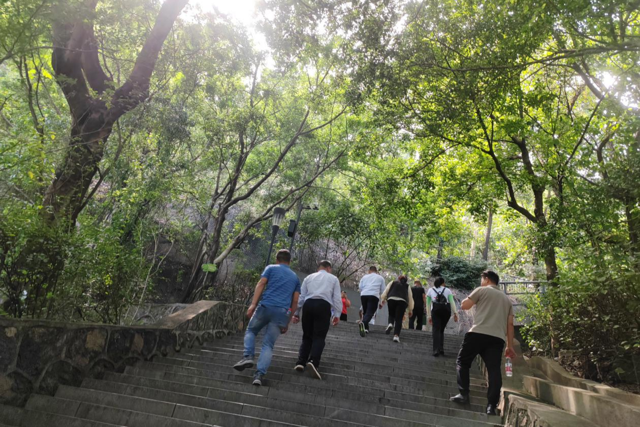 登高望远庆重阳,凝心聚力共前行