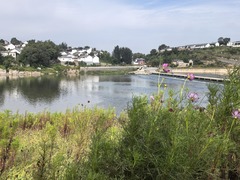 一河清水润齐鲁——山东系统治理推进美丽河湖建设观察