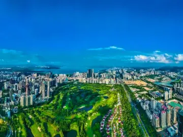 深圳一周丨各区书记区长在忙啥？（10月20日-10月26日）