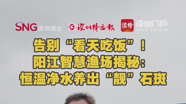 告别“看天吃饭”！阳江智慧渔场揭秘：恒温净水养出“靓”石斑