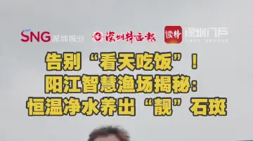 告别“看天吃饭”！阳江智慧渔场揭秘：恒温净水养出“靓”石斑