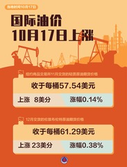 （图表）国际油价10月17日上涨