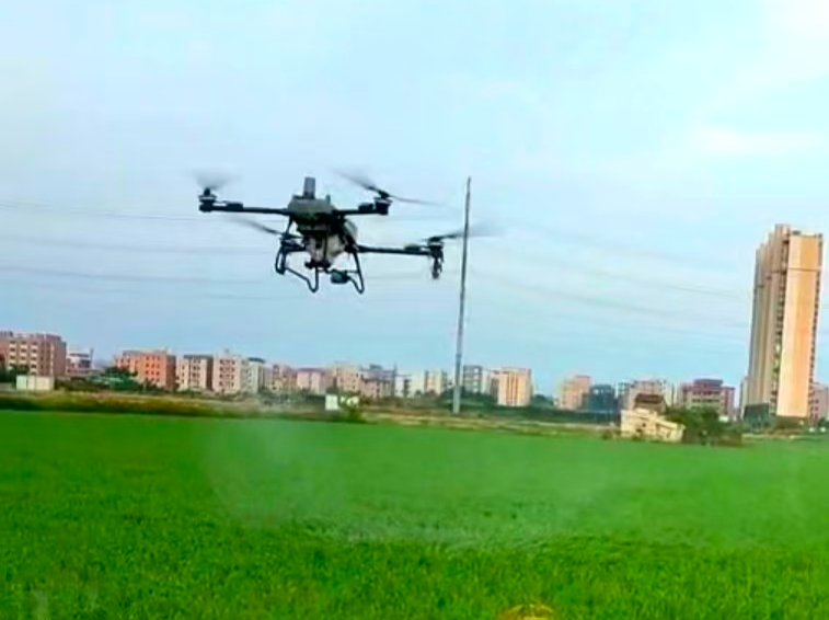 “圳帮扶”有良策:“良种良法良技”让汕头陇田镇农业增产增收见实效