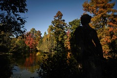 （外代一线）（3）欧洲的秋