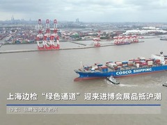 上海边检“绿色通道”迎来进博会展品抵沪潮